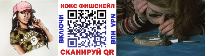 Купить где  Могоча  COCAIN Fish Scale 