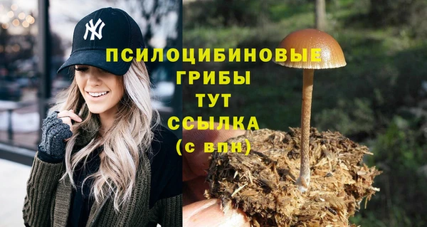 соль ск Зерноград