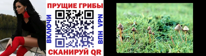 Псилоцибиновые грибы мухоморы  Купить где  Могоча 